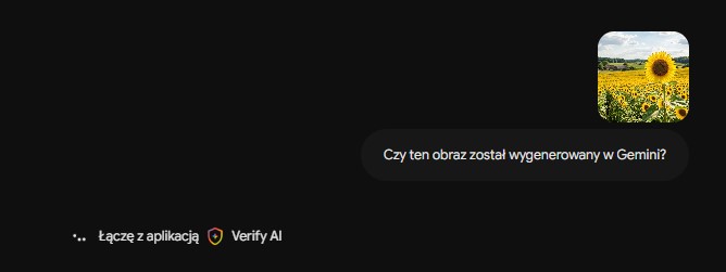 Weryfikacja AI w Gemini
