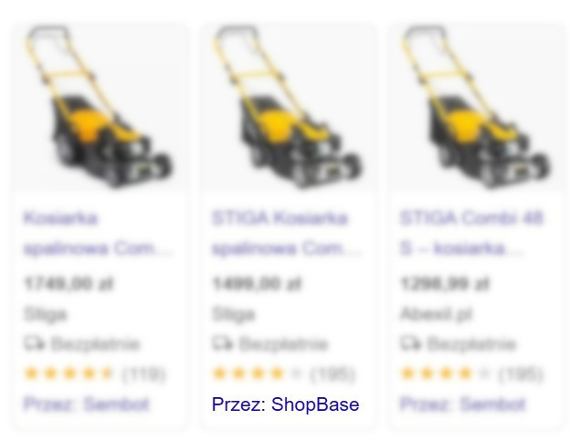 Kampania Google Ads Kampania Google Ads