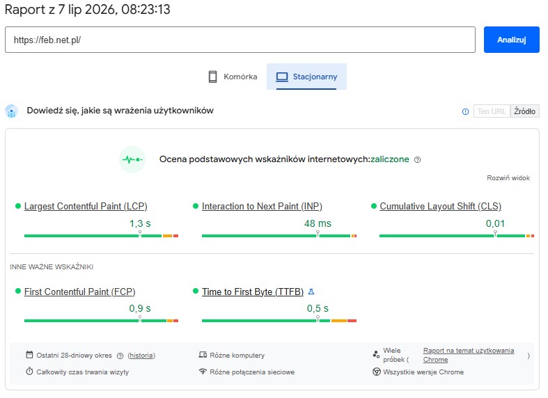 Raport Core Web Vitals