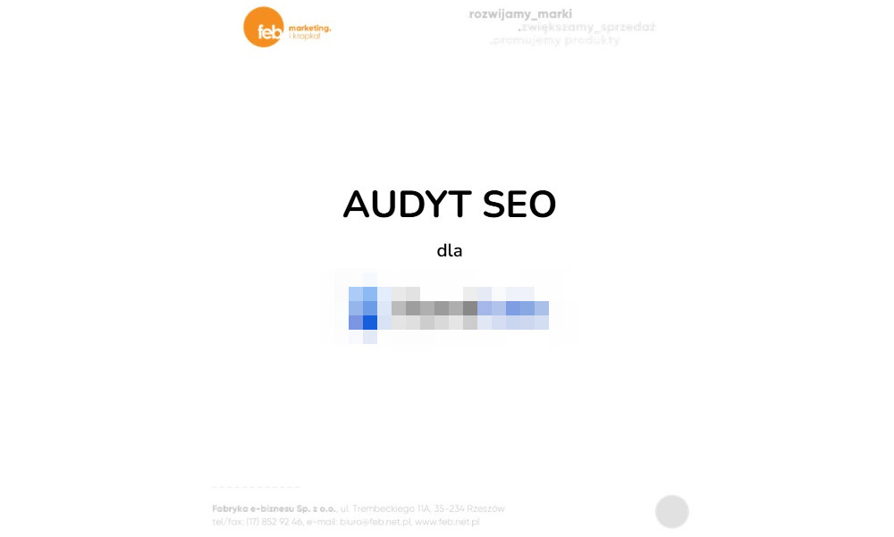 Audyt SEO FEB dla klienta