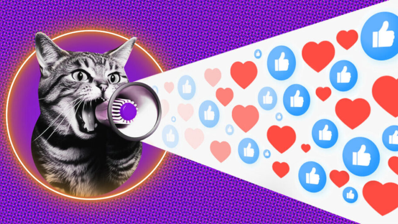 Podstawowe strategie obecności w social media dla e-commerce