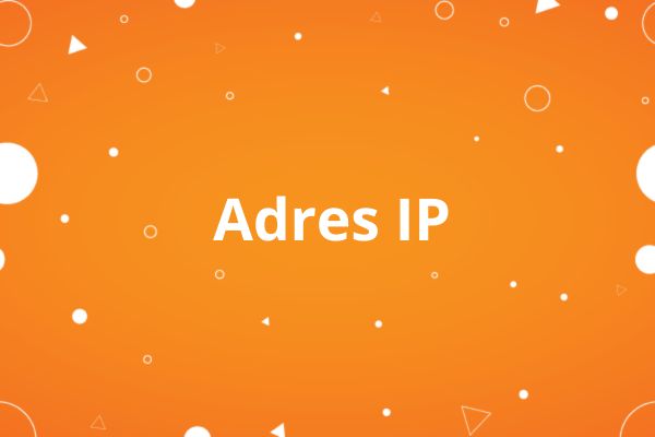 Adres IP