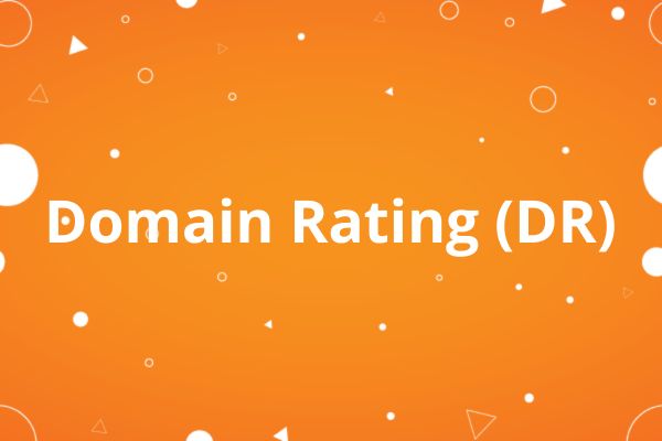 Domain Rating (DR)
